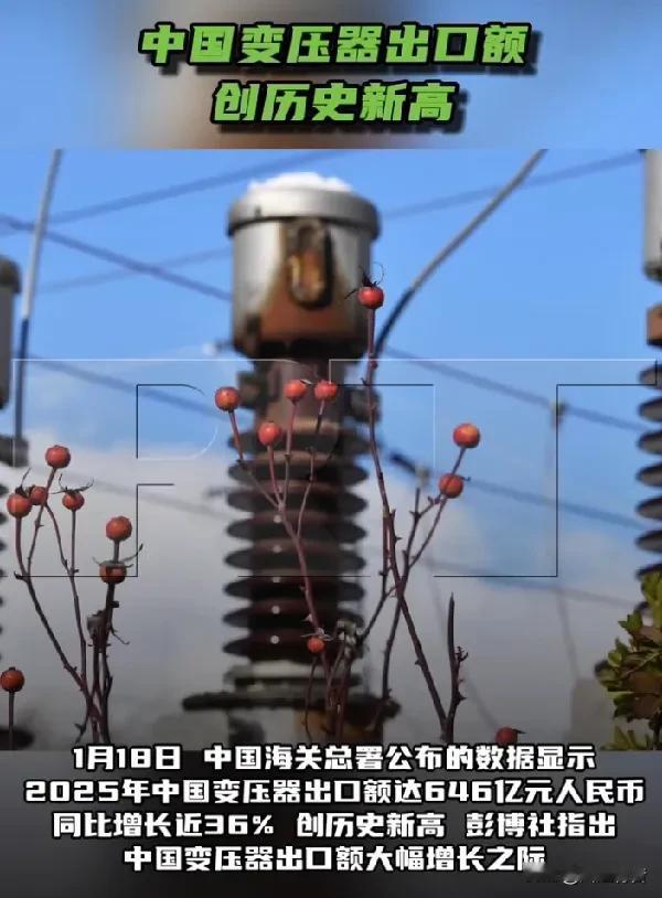 美国电压器奇缺，从中国大量
进口。

1月18日，中国海关总署公布的数据显示，2