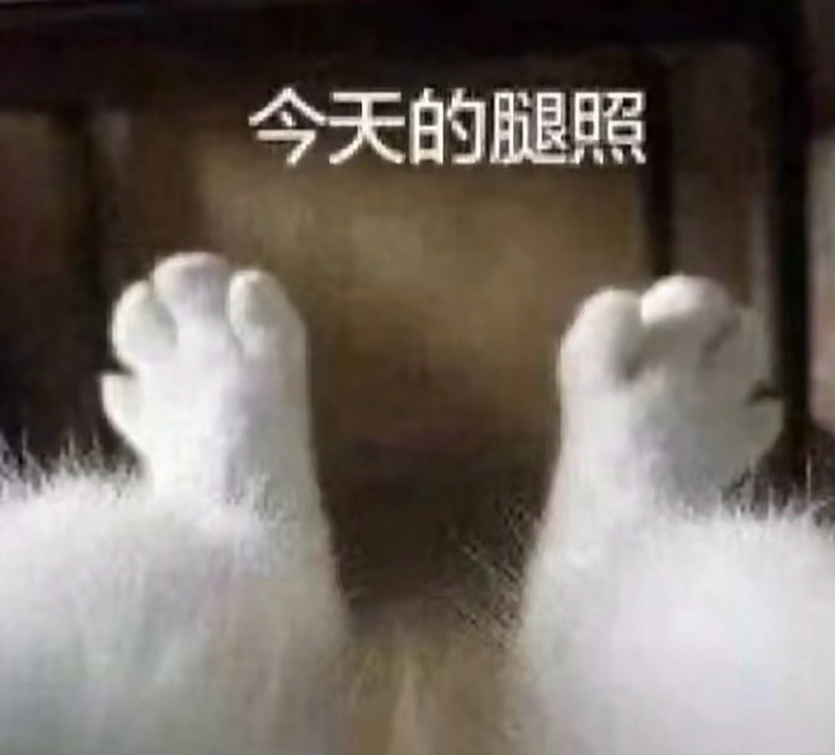 kkt ​​​