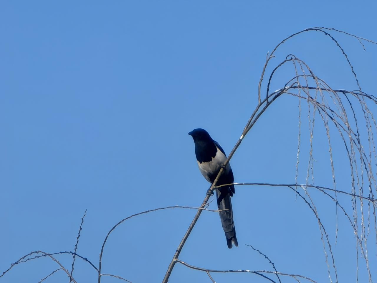 前几年母亲离世后家里只剩下老父亲和弟弟一家人生活，腿脚不好，走路也艰难。春节离开