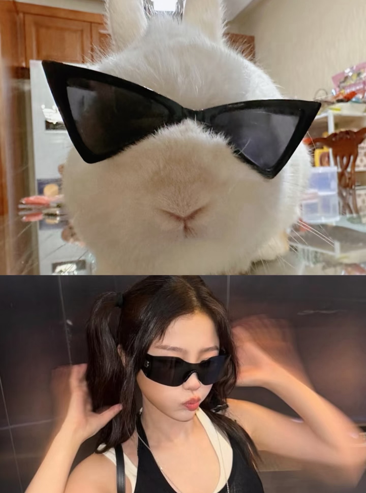 虞书欣认证兔塑虞书欣在线认证自己是兔塑，北极巨兔·欣没错了🐰！ 