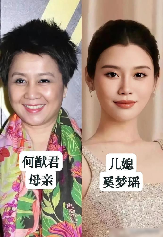 别再信综艺里演的了，明星婆媳搞关系，狠招都在镜头外。有人为缓和关系，直接把婆婆拉
