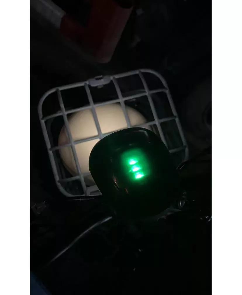 深圳人都不屑于偷小电驴吗?
刷新了我对深圳的印象，多么无私的城市啊，早上9:00