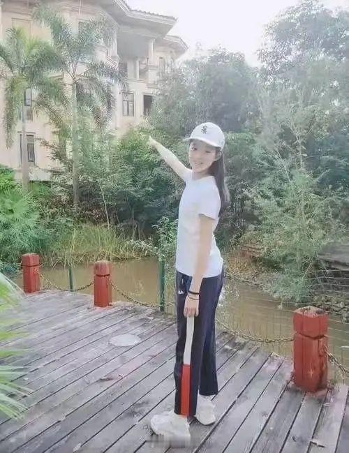 黄杨钿甜"天价耳环"事件最终被证实为一场乌龙，但其引发的关于公职人员亲属消费监督