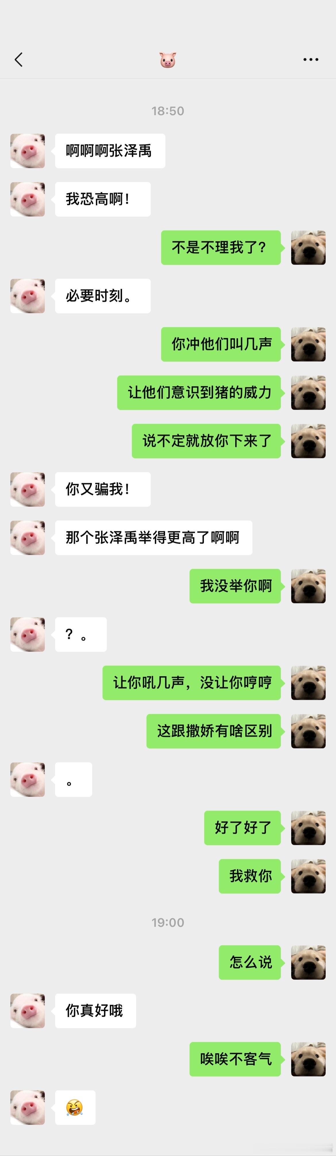 4471【极禹】糟糕！变成动物还穿越未来了怎么办*ooc 