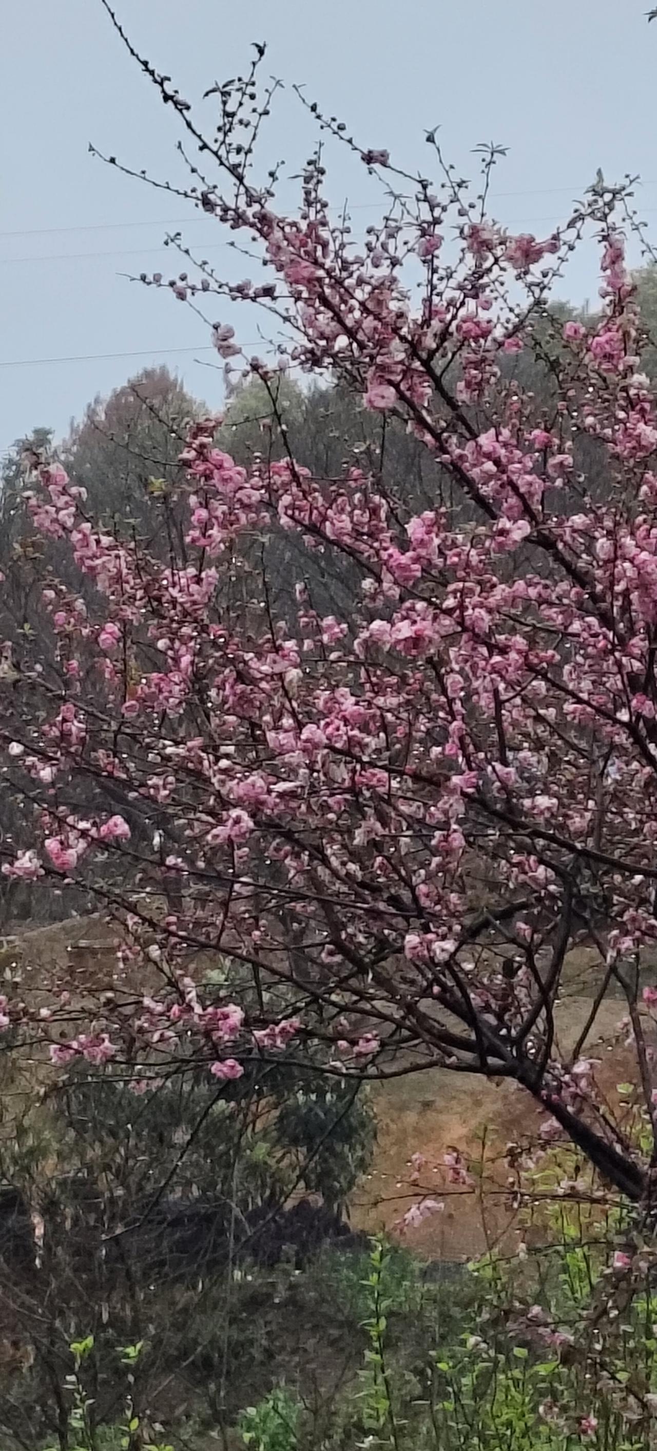 情侣消费观念不同，相处起来还挺闹心的。之前有对情侣逛宜家，女生想买个五十多的盘子