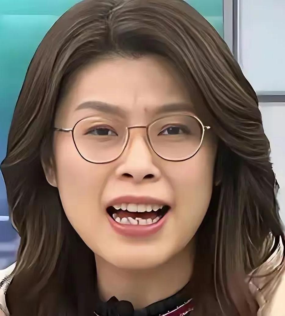 郑丽文最近预感到的情况还是发生了。

1.25万亿新台币的防务预算方案，本来卡在