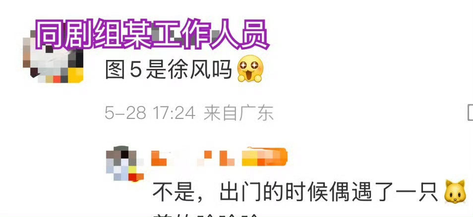 哦对 剧组养了只叫徐风的小咪所以我们徐风是手贱脸尖爱惹事更怕事的美貌小狸花 