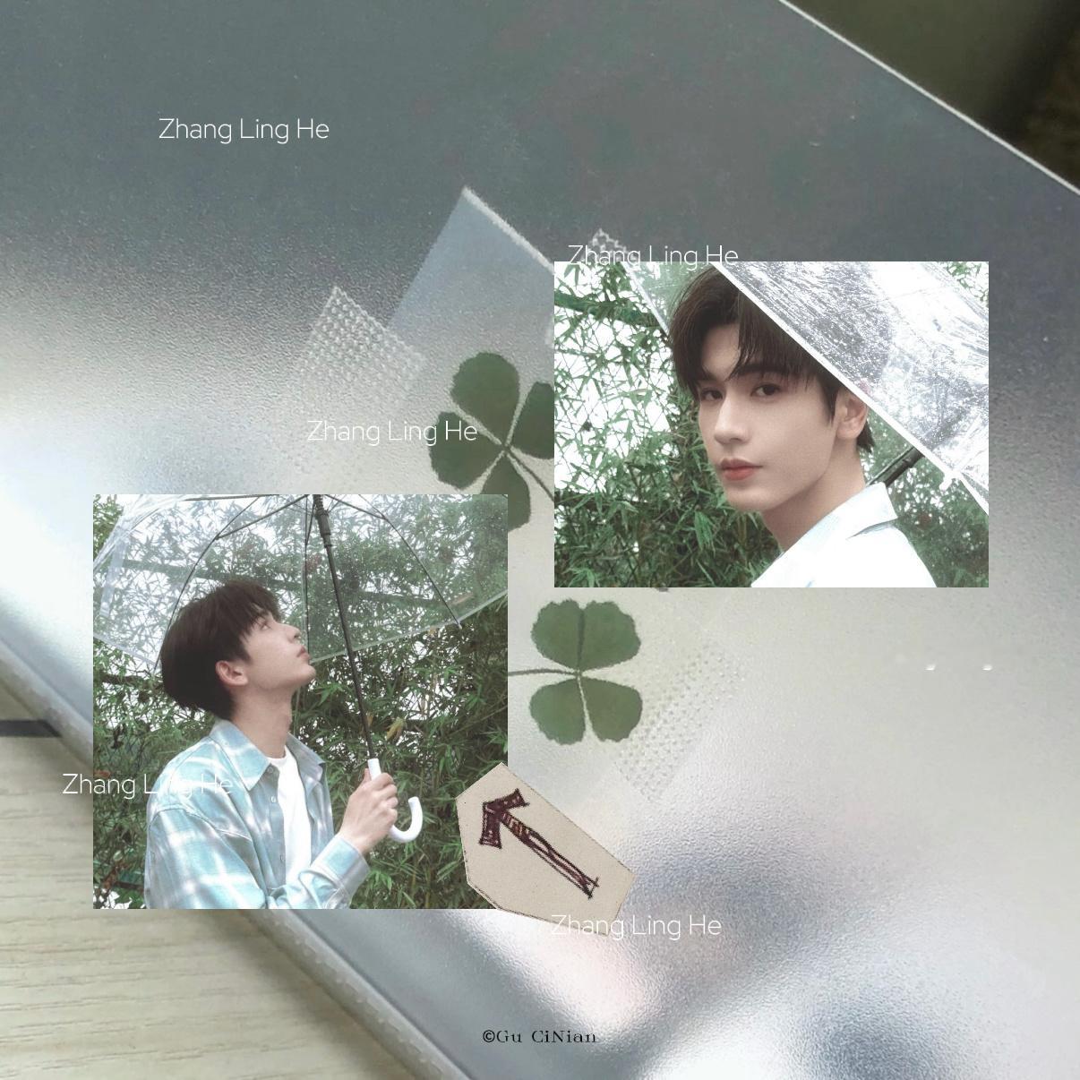 ᨳ ‧₊ 📹 𝙳𝚒𝚝𝚝𝚘. 🍀 张凌赫