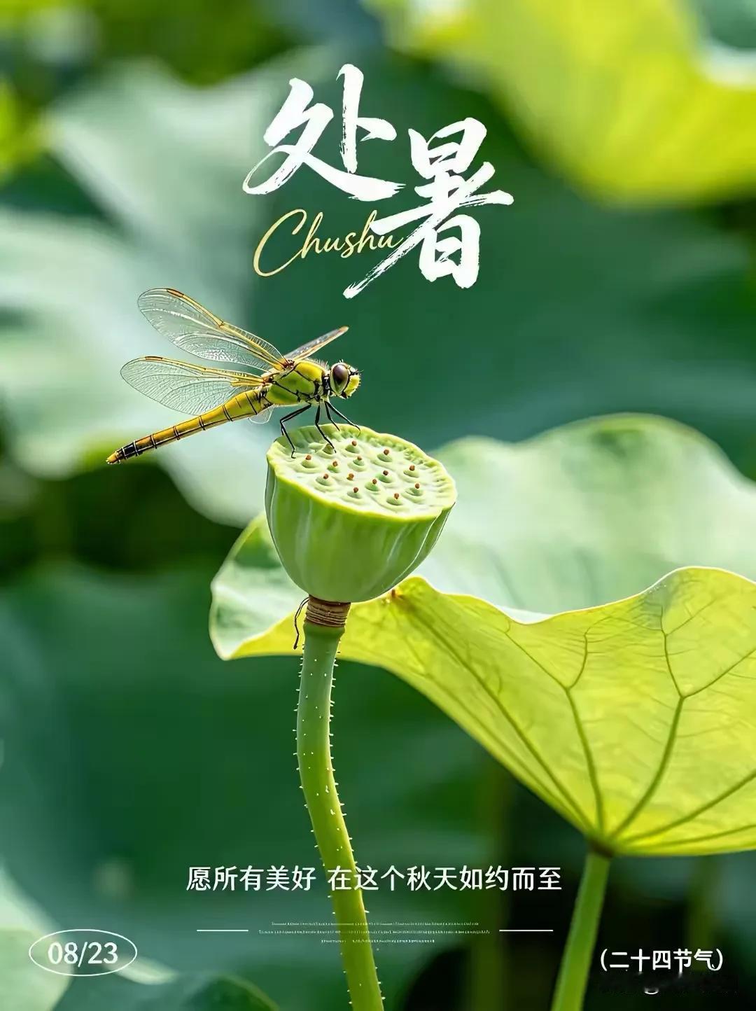 《鹧鸪天·处暑寄福》

暑尽风清送晚凉，
今朝处暑祝安康。
属君岁月多顺遂，
属