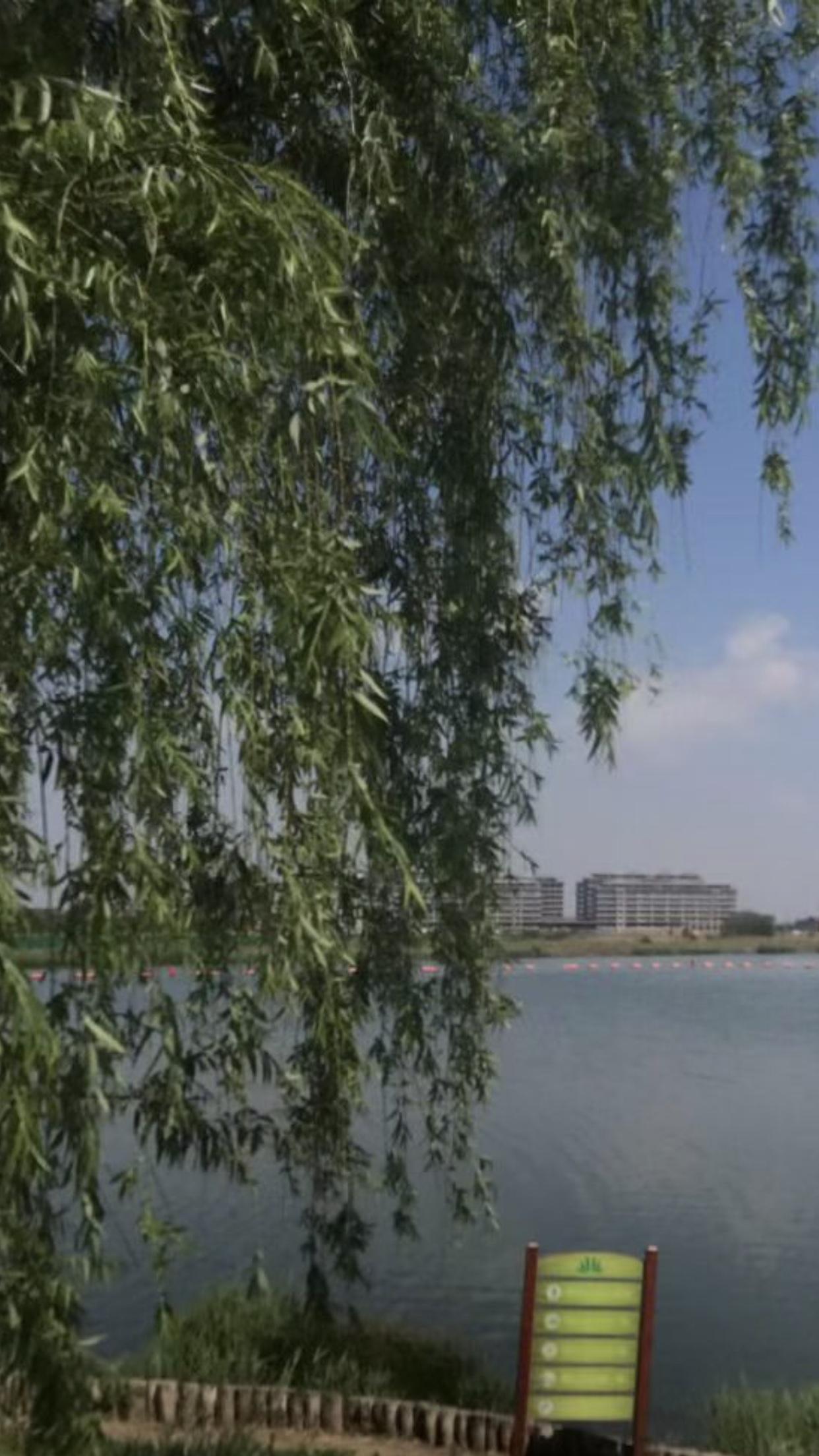 上联:羞无好句描春景，邀对下联？我对的下联是，幸有闲情醉春风。