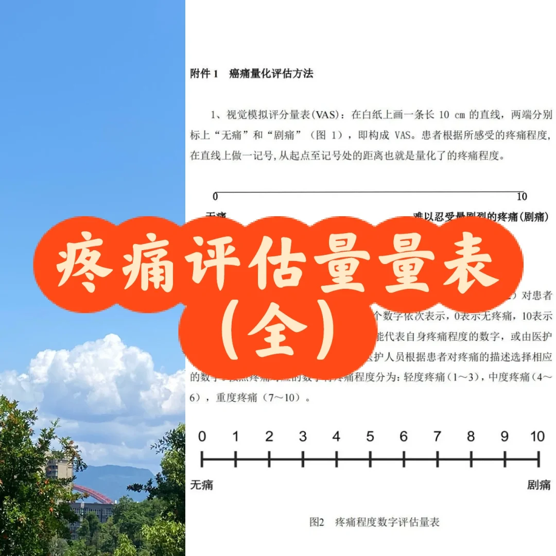 今日学习———疼痛量表超全