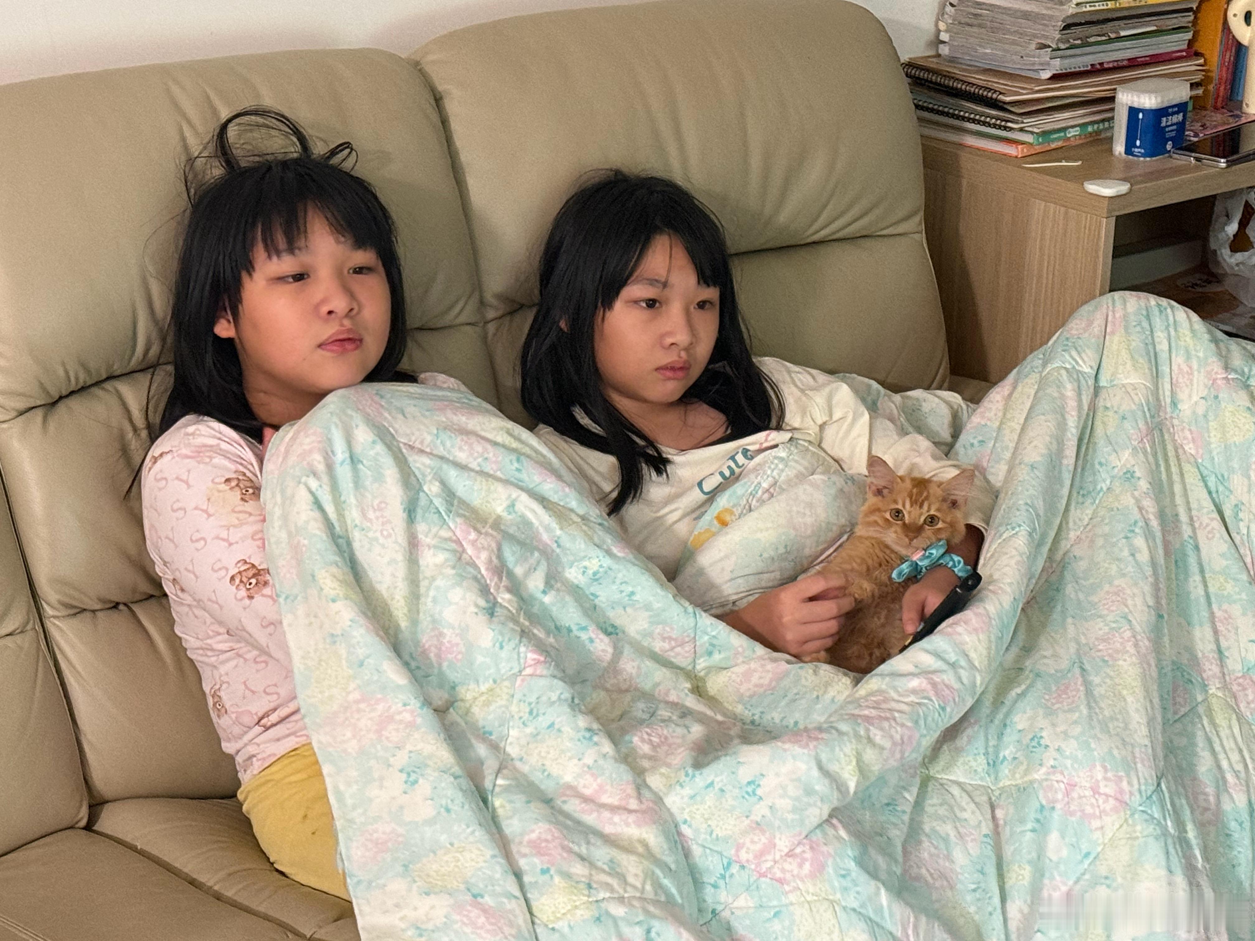 回到家，是这个状态的！猫猫状态良好！ ​​​