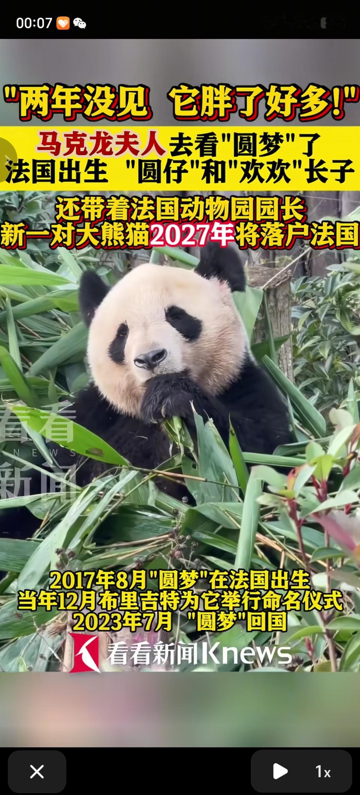 马克龙夫人是熊猫控吗？刚把“圆仔”和“欢欢”送回来多久啊，大老远的来一趟，重点看