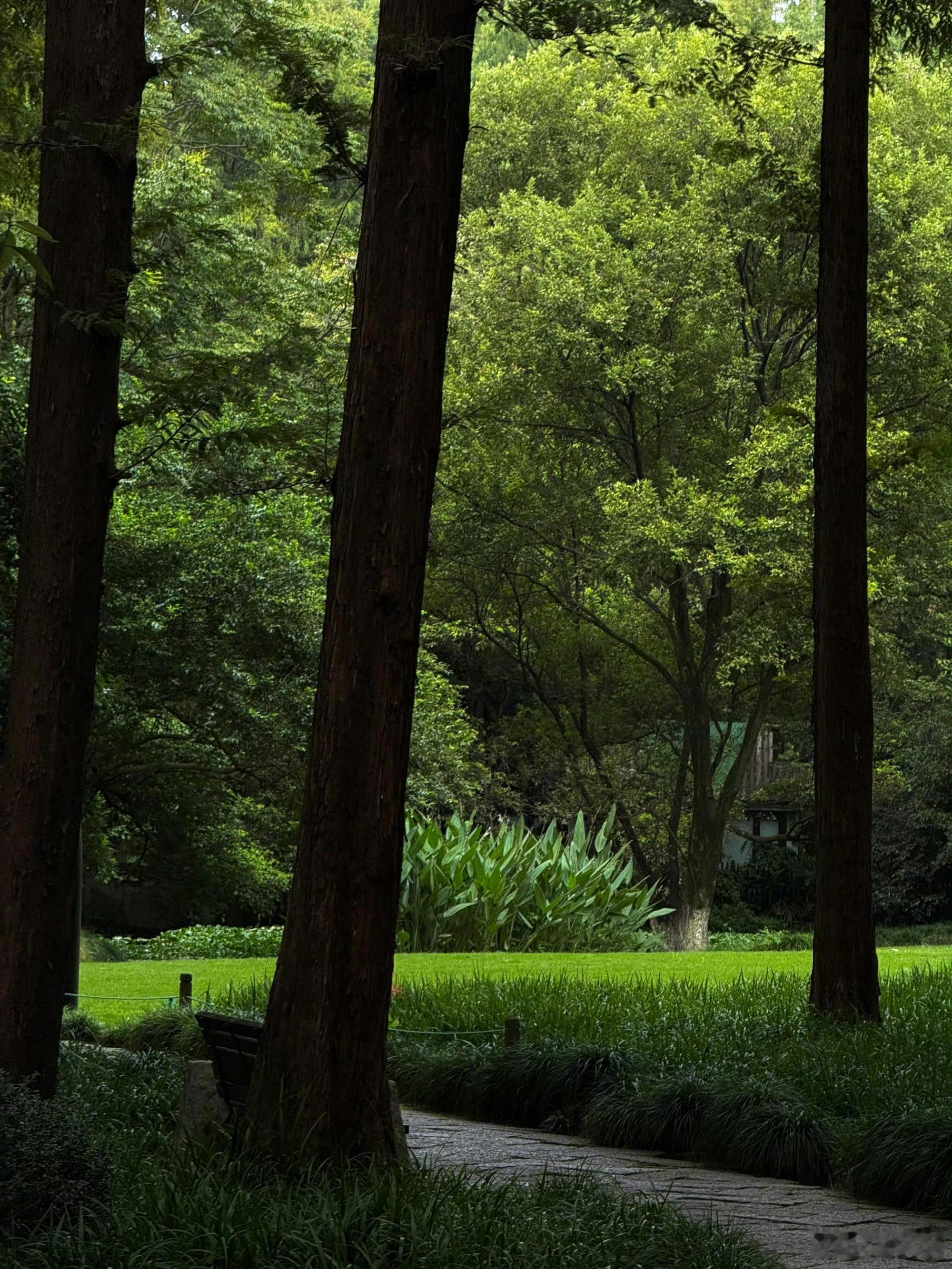 分享图片 ​​​