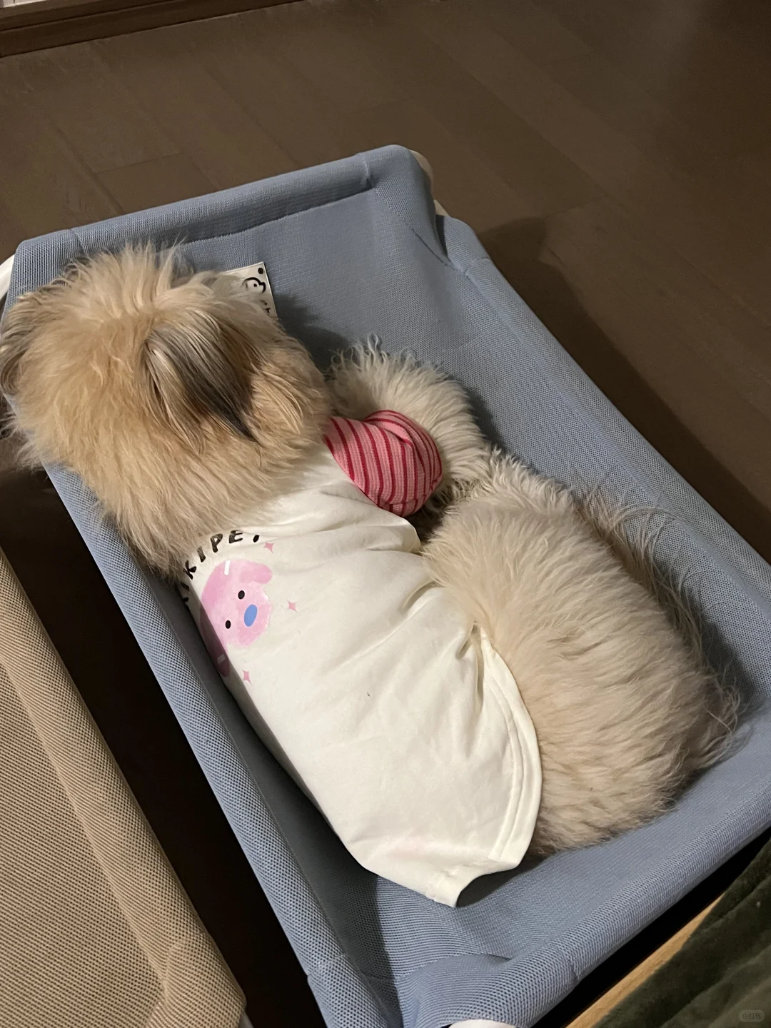 救命🆘 这是我的小宝宝