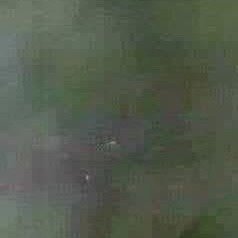 阳光信用  生命中，好多的事是这样，生活中，好多的情是这样，没有理由，也无需理由