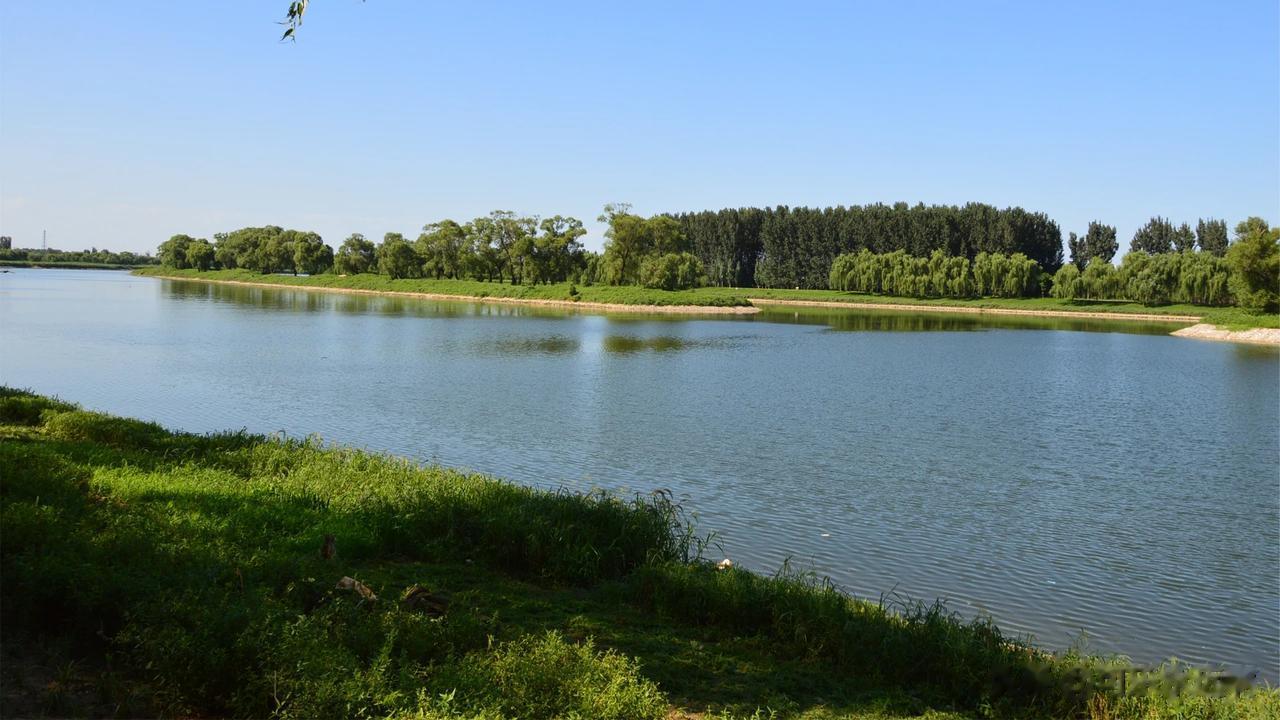 #秋日生活打卡记# 秋天的静美宛如人的淡定从容，历经岁月时光的打磨，从夏天浮躁的