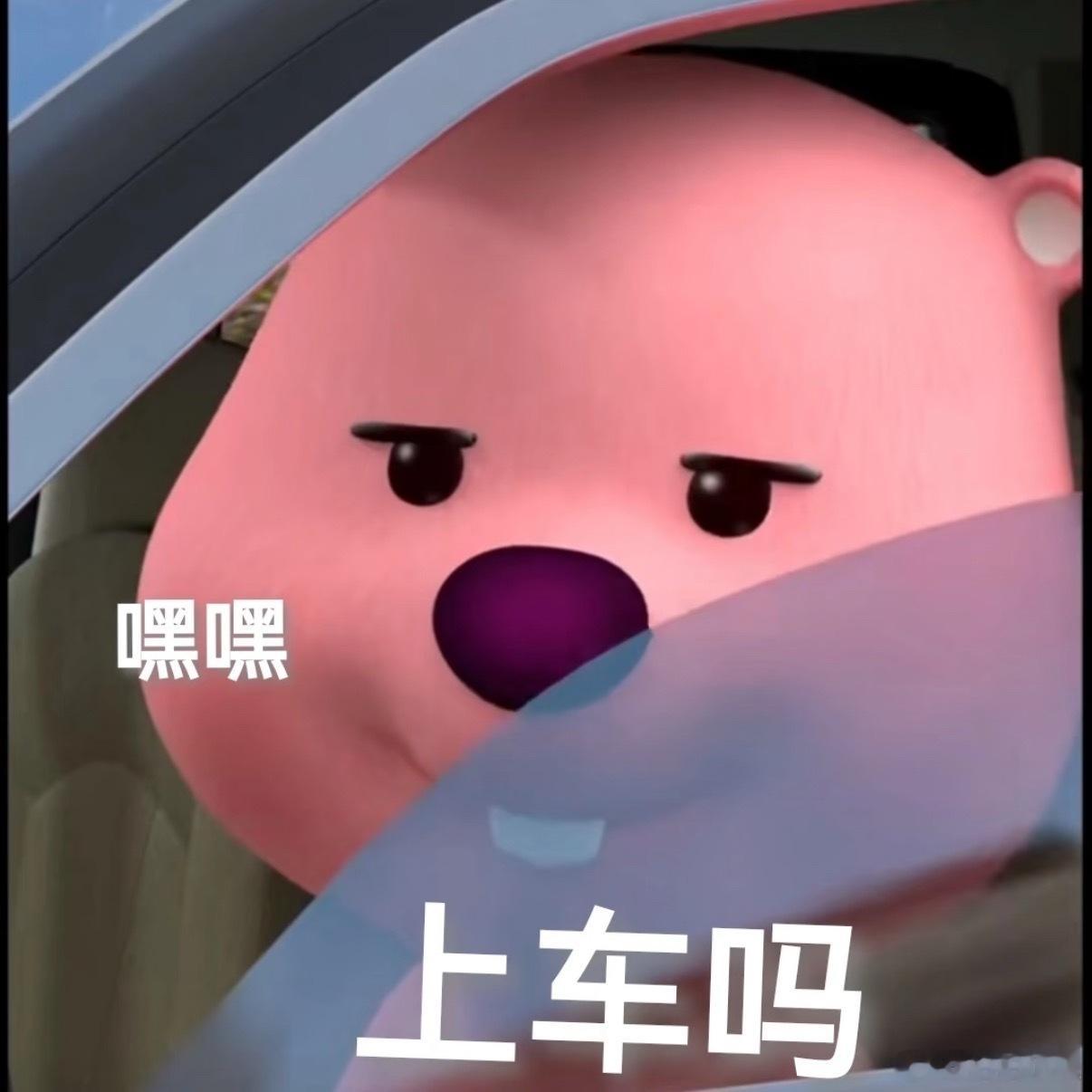 本来我是打算今年好好练车，然后等春节的时候开车带着狗走高速回家过年的。结果很显然