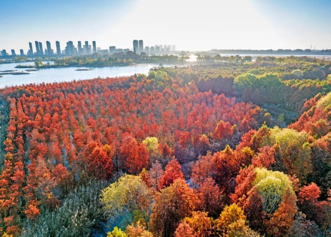 据自然资源部4日消息，自2022年全国生态保护红线划定以来，生态保护红线内生态系