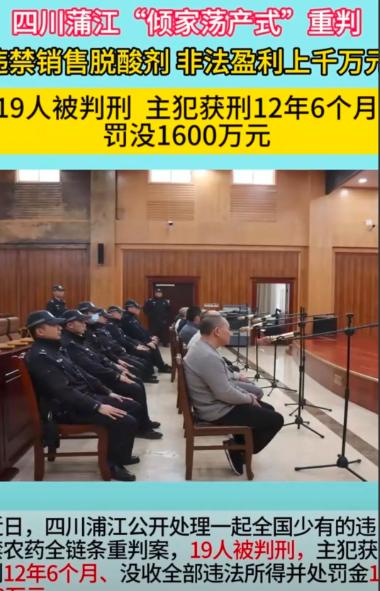 2024年3月，四川蒲江县的柑橘交易市场里，当地果农林贵和常年合作的水果收购商李