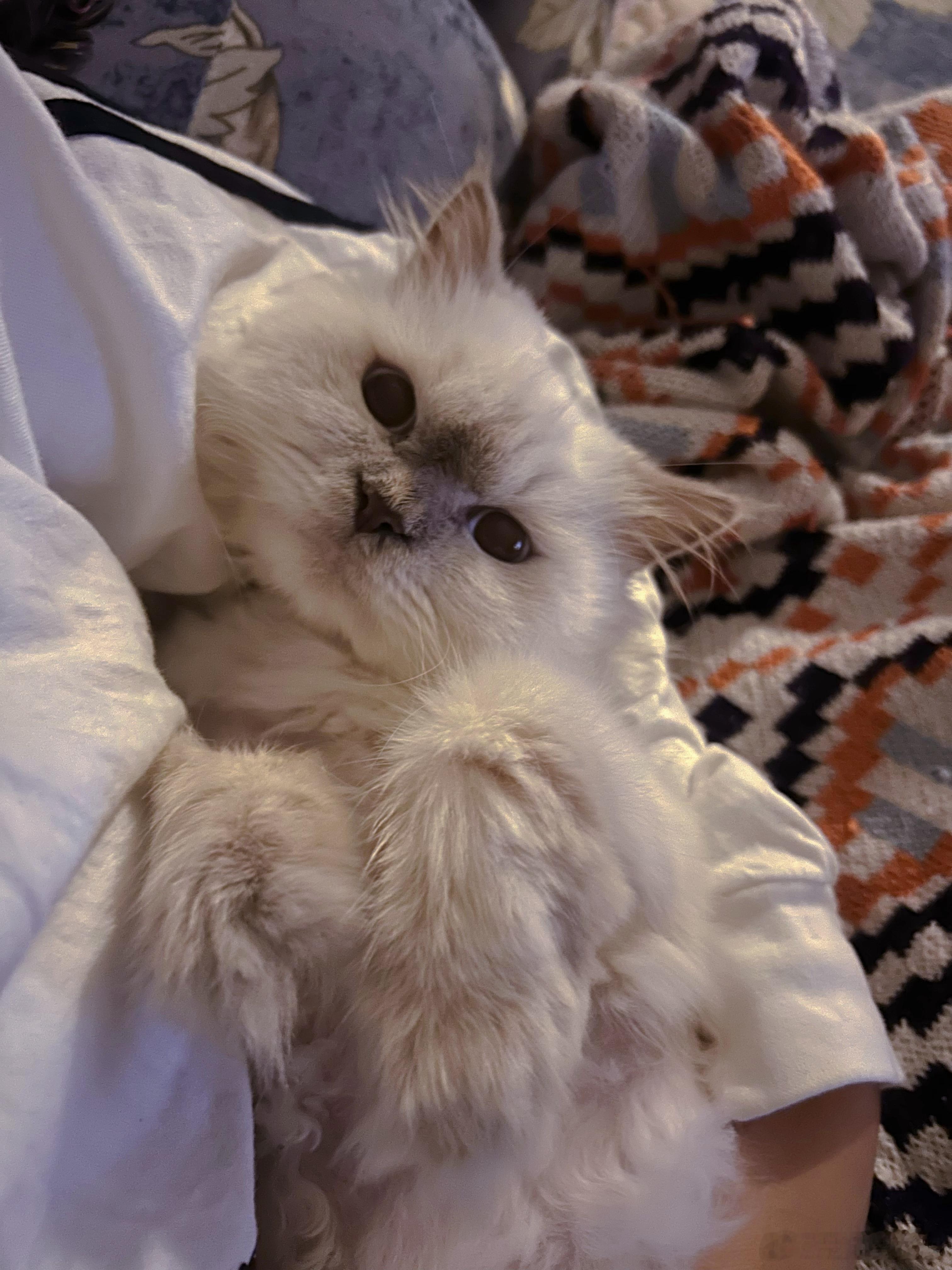 以前折星星时能想明白很多头疼事，可是最近的事折星星也想不明白了 三亚