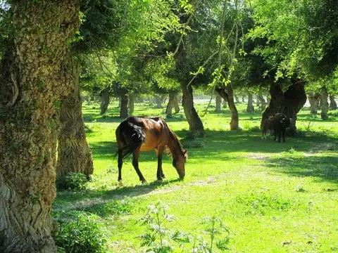 在遥远的山脚下，有一位名叫李明的老人，他白发如雪，笑容温暖如春风。李明年轻时曾是