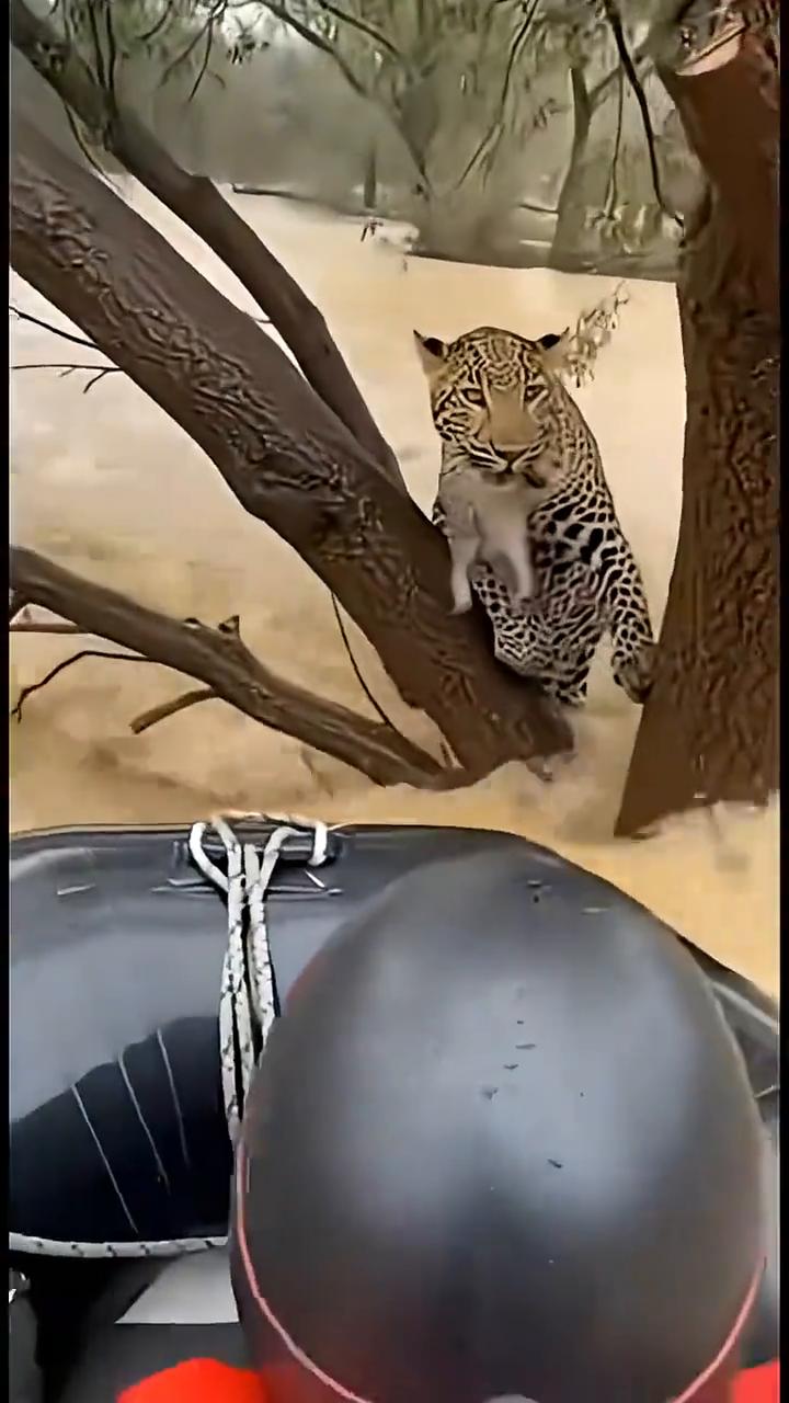 hold on just a little more。