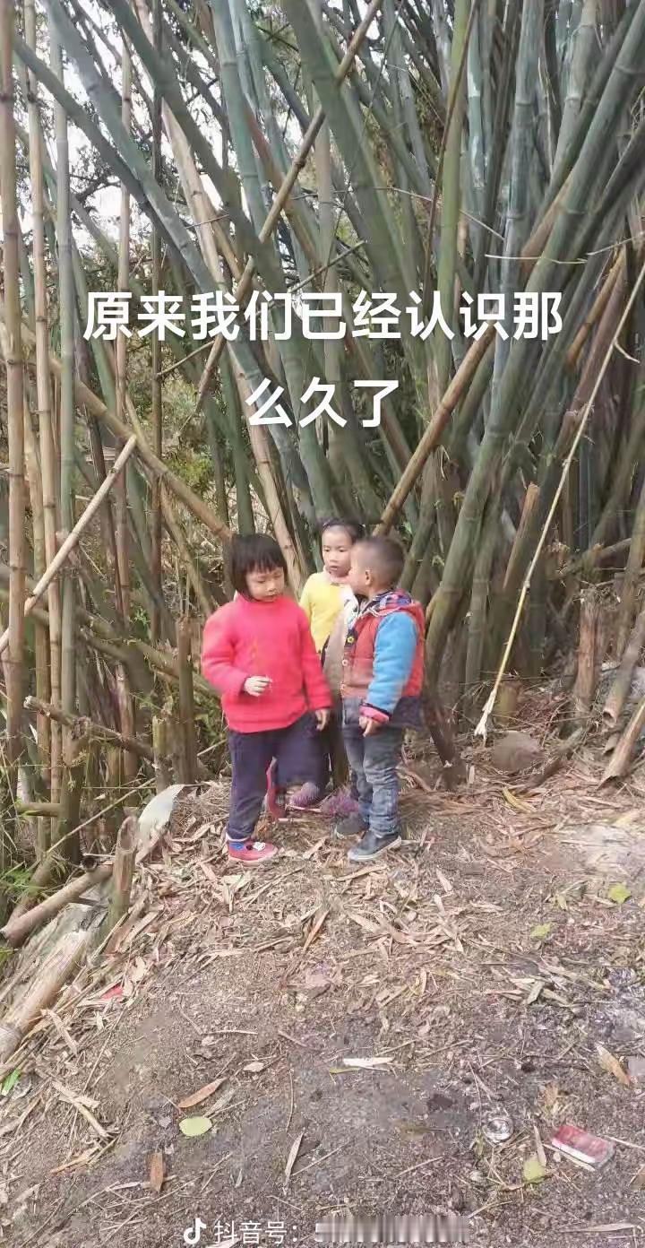 @*枝卿* @喵了个咪的₍˄·͈༝·͈˄*₎◞ ̑̑ 以后我们一定还要一起玩啊?