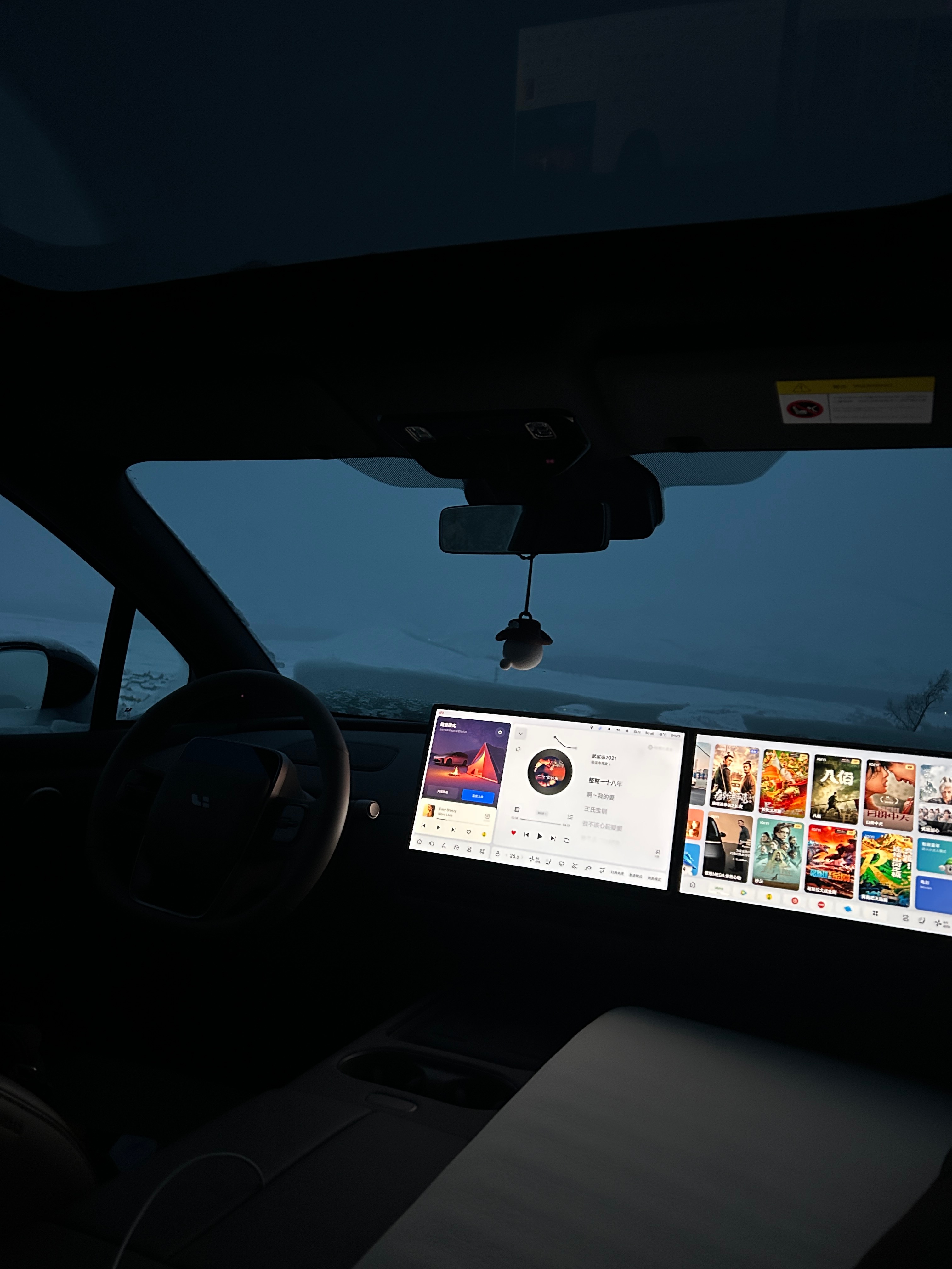 可可托海雪豹咬人全过程记得在新疆的时候，我在车里露营，我问民宿老板不会有狼的应该