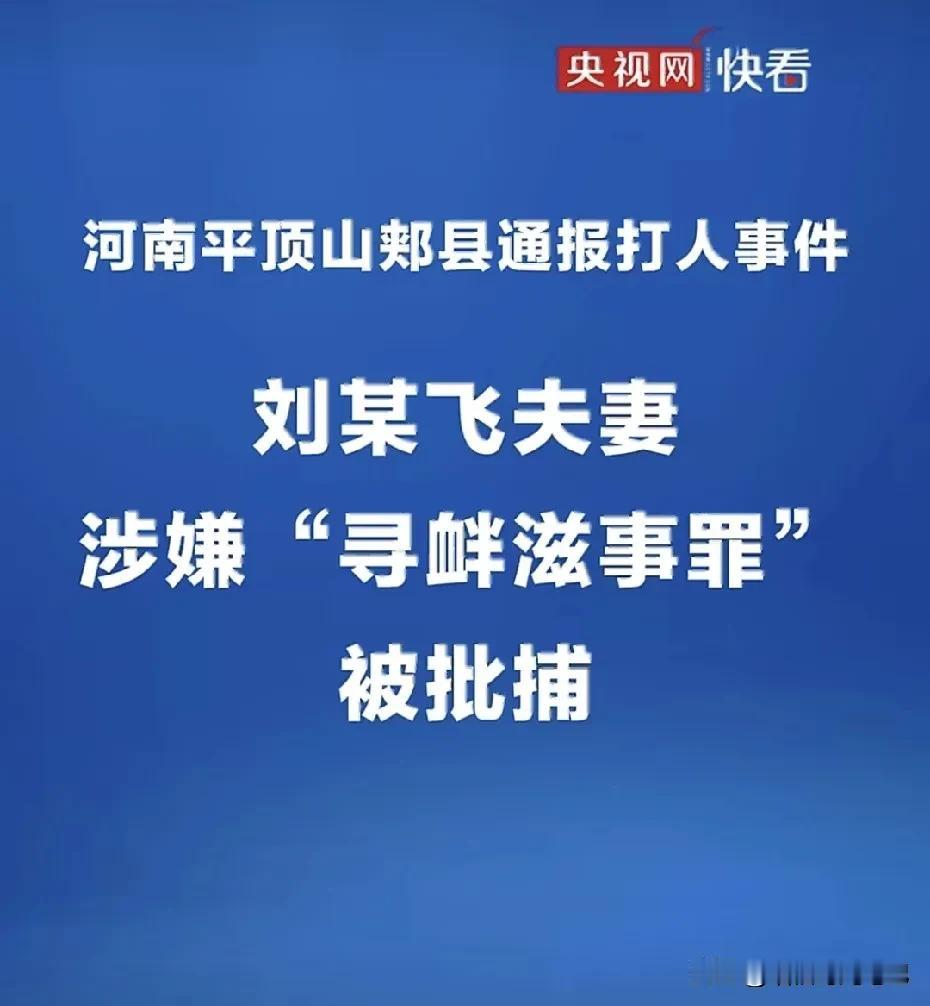 2月19日晚，河南郏县15岁的丁某乐带着12岁的弟弟买零食，途中与65岁的杨某发
