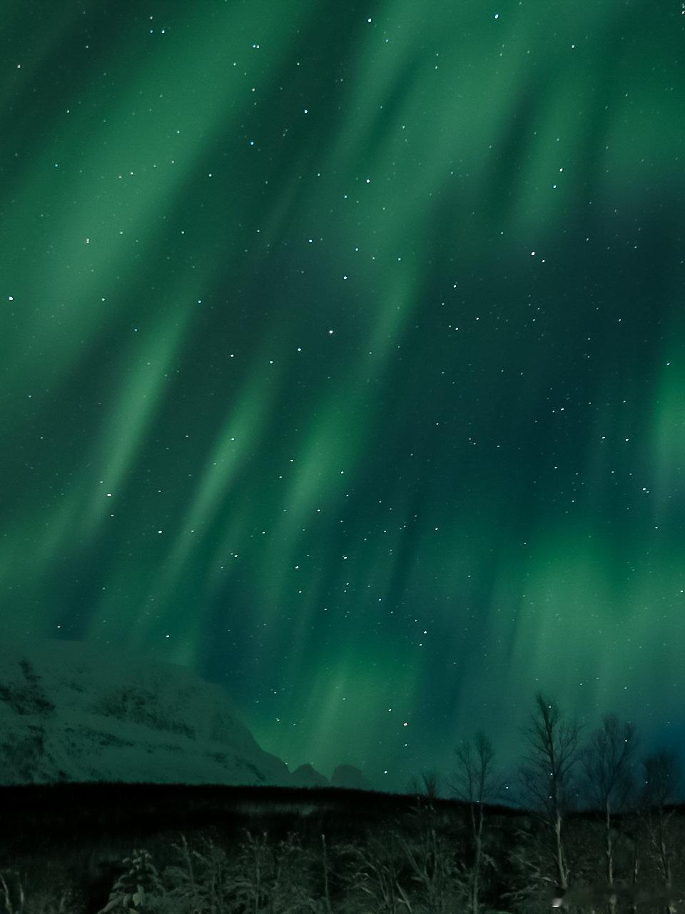 🟢 总要追一次极光吧冬天挪威旅行的快乐是什么呢🇳🇴只有一样就是实现极光自由