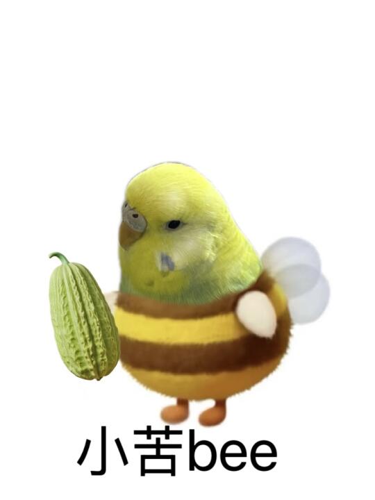 蜜蜂小鸟来也！！！🐝