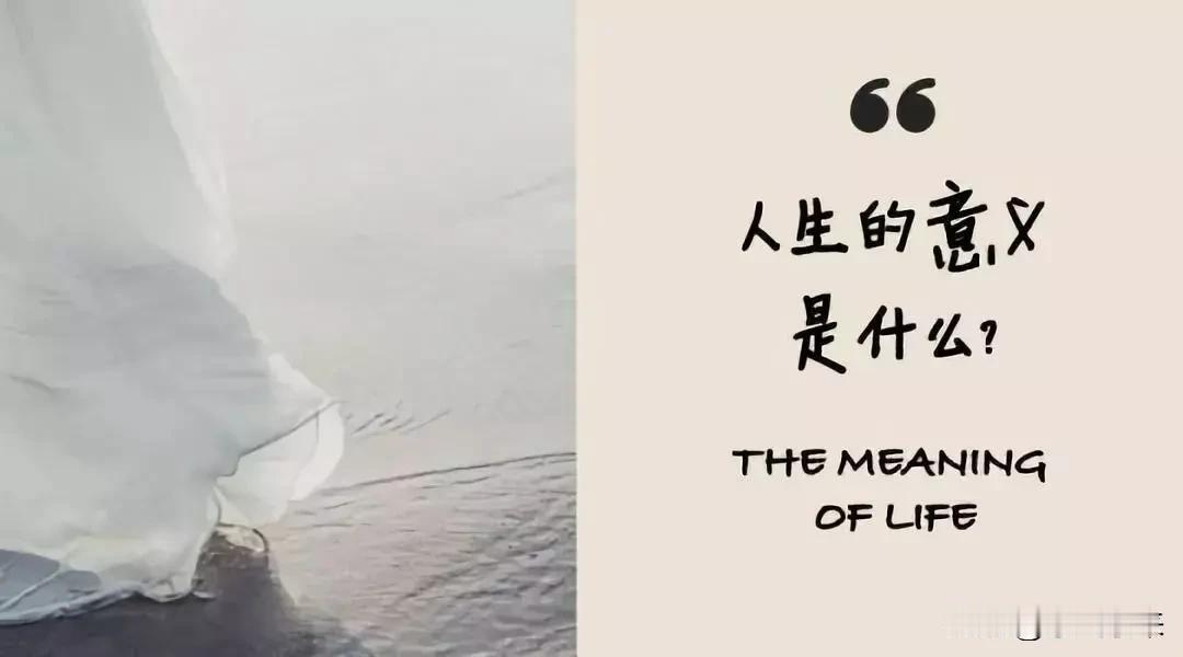 钱没了慢慢赚

人没了就一切都没了！

为了碎银几两去拼命不值当没意义。

人生