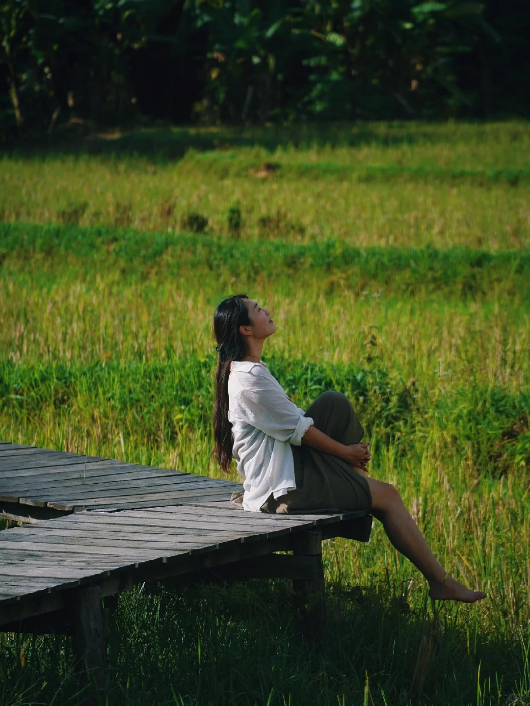 老挝🇱🇦离开琅勃拉邦前一定要来的稻田咖啡