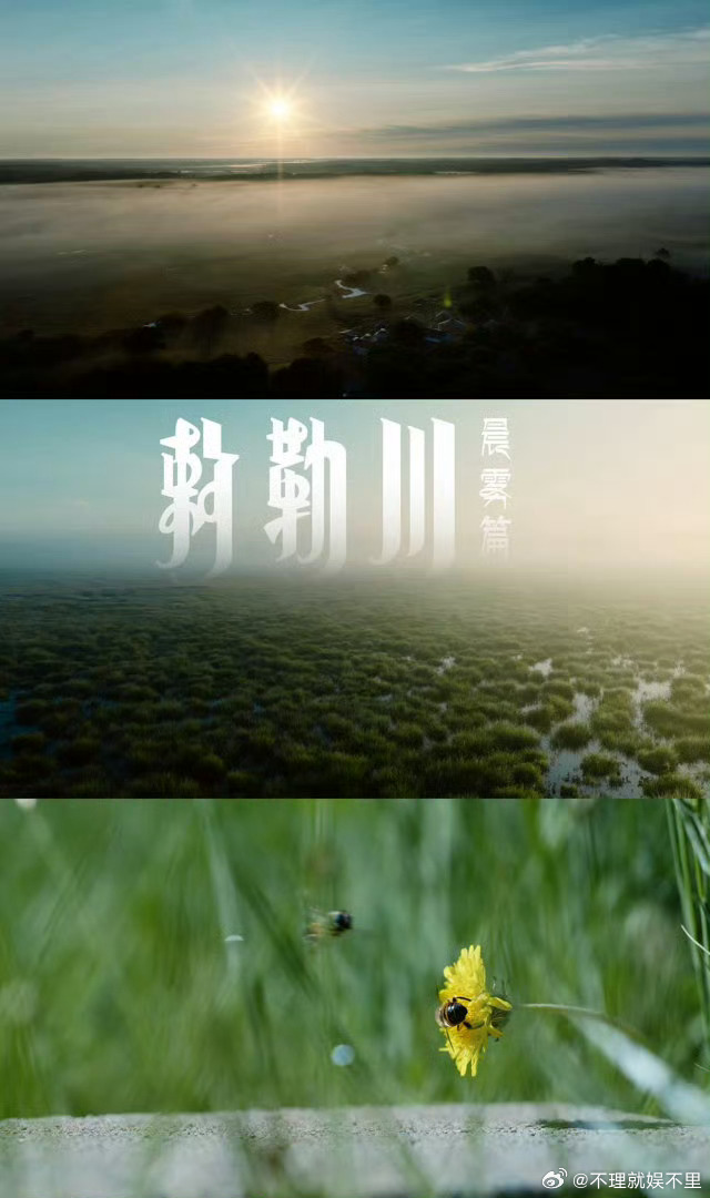人果然要待在没有天花板的地方总要抽时间走向旷野，感受落日晚风与草木生机，挣脱室内