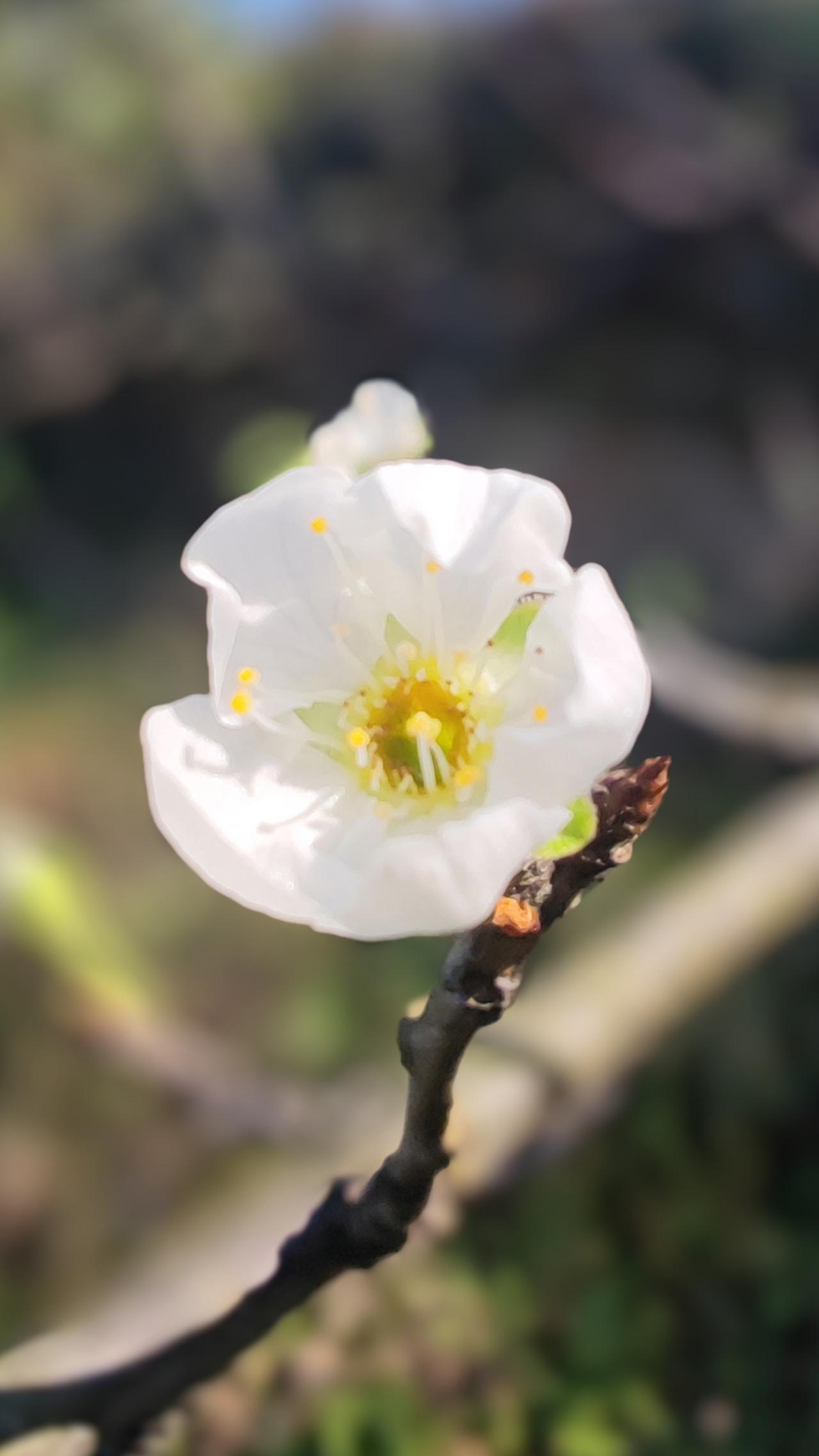 觉醒后，
如何安住本心顺其自然？

老天拿走你什么，
你就舍弃什么，
学会放手！