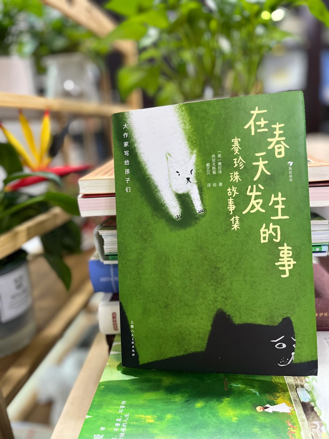 一本可以抚慰心灵的书