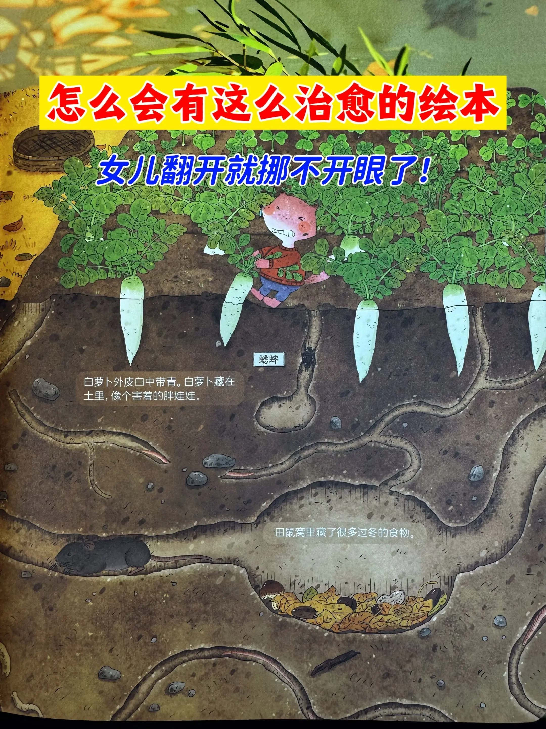一套专为中国儿童打造的自然通识科普📚。一定要陪孩子看看这套优质绘本...