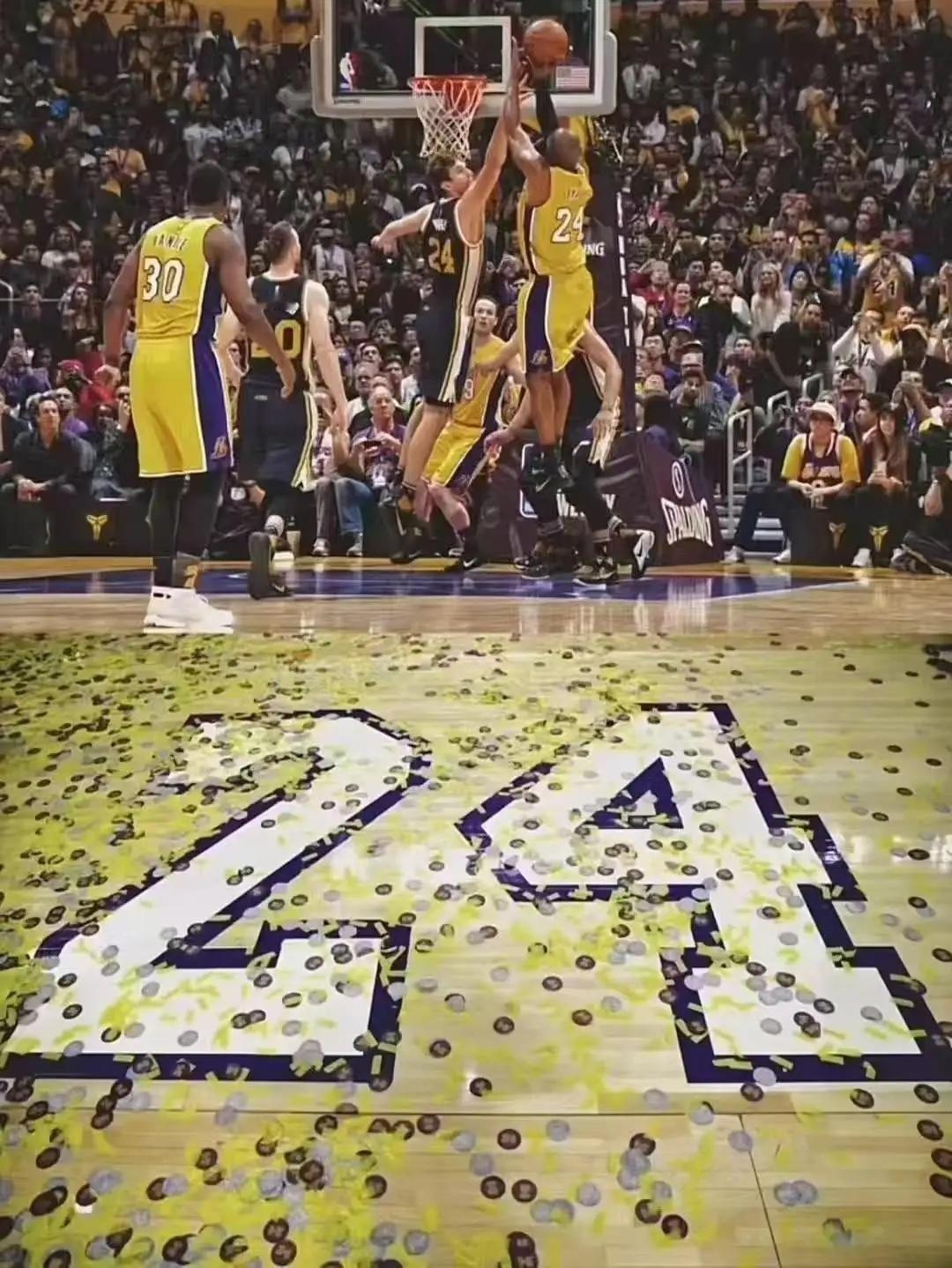 💜💛永远的紫金，永远的曼巴！科比KobeBryant只关于科比 ​​​