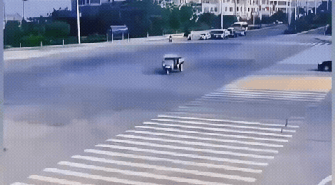 三轮车：主人，你先下去，看我怎么收拾它！