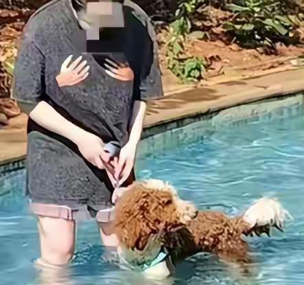 狗是你的孩子也好亲人也罢！请不要在公共场合祸害人
   三亚一名年轻业主将狗带进