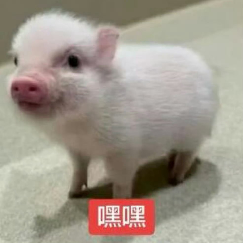 想知道我哥哥下部戏拍啥 ​​​