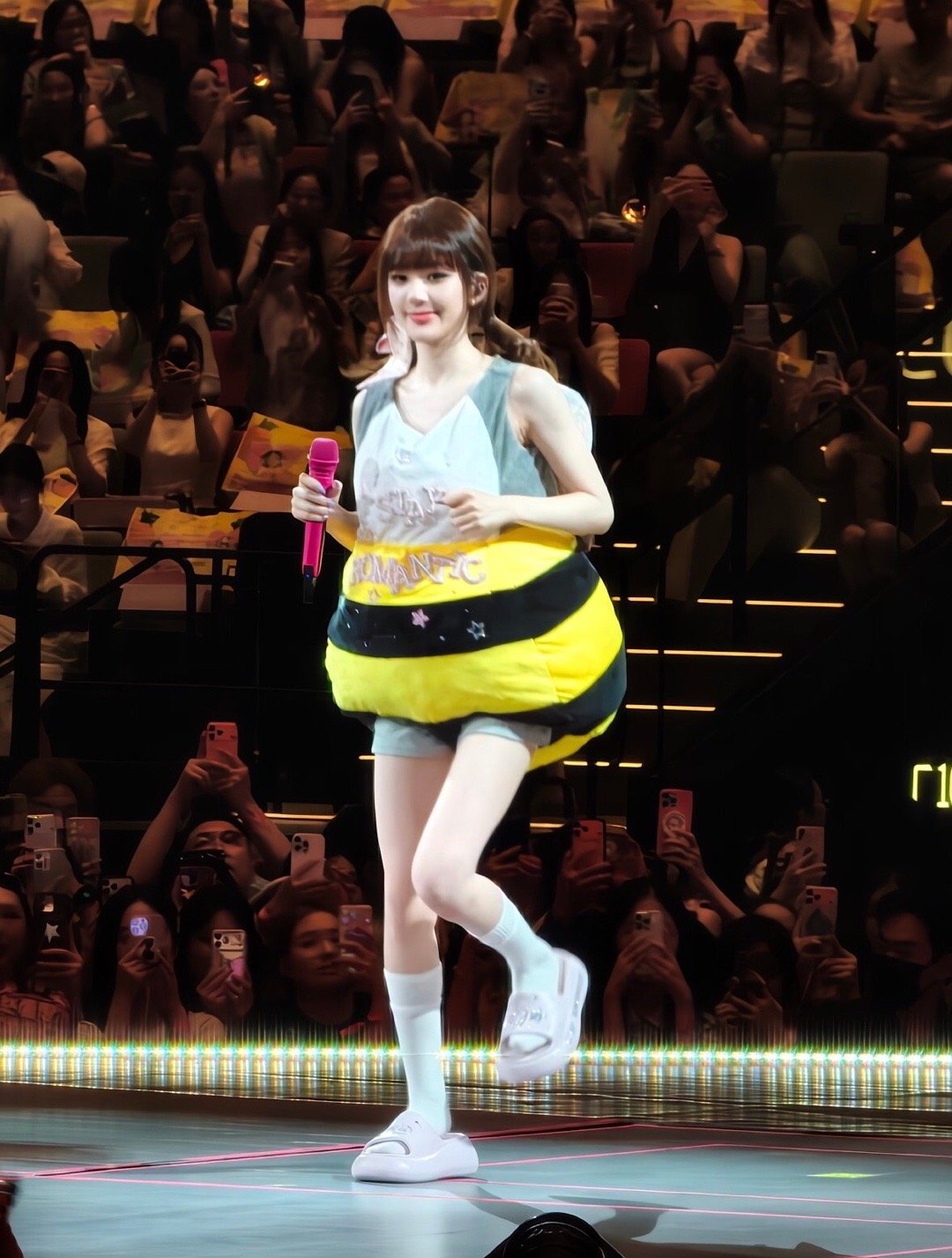 🐝赵露思