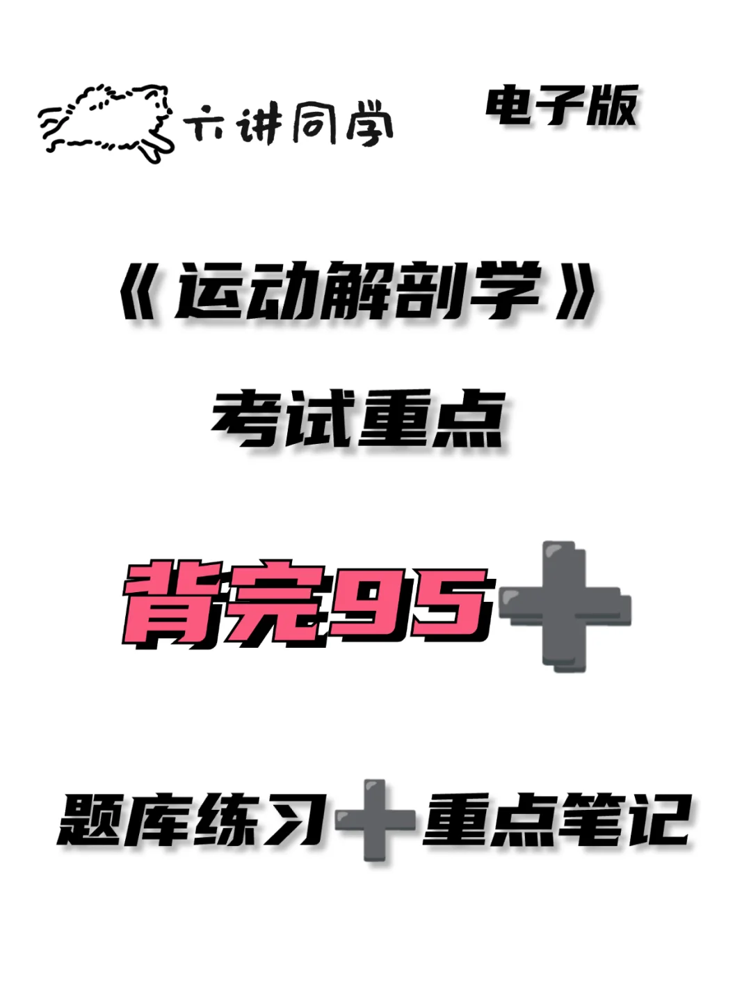 《运动解剖学》考试重点🔥🔥🔥
