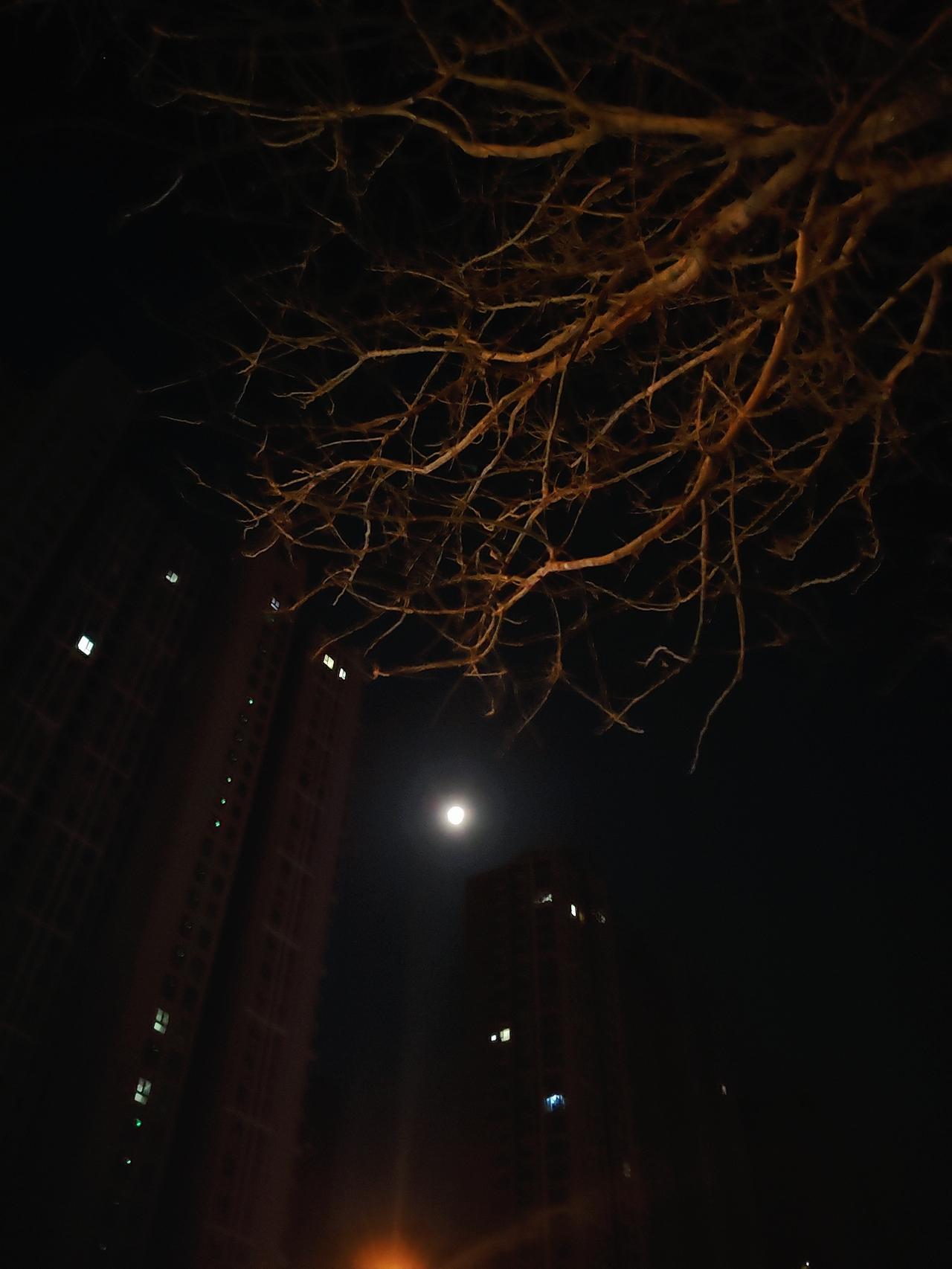 生活中一半柴米油盐，一半星辰大海，也许极尽琐碎，却依然有我们需要的美和温暖