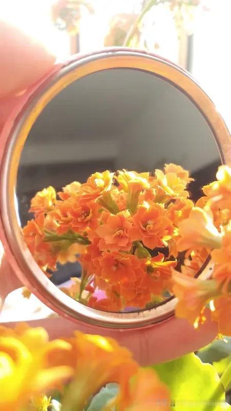 上联:镜里摘花空费力
下联:心头无事自逍遥