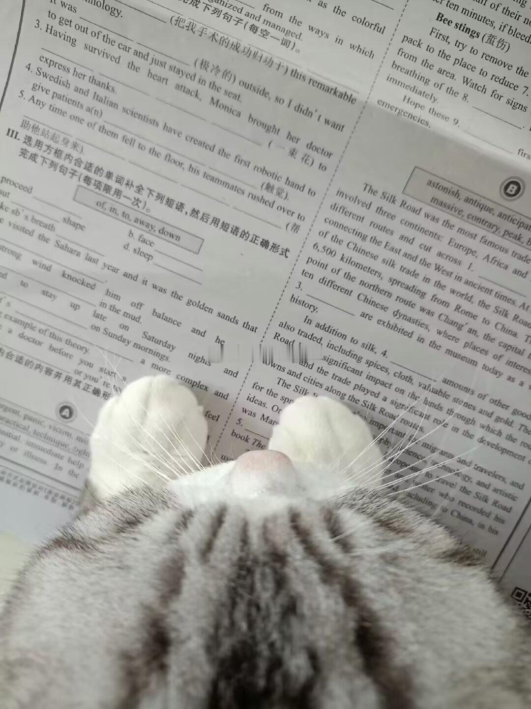 写啊 你不是美国佬吗  