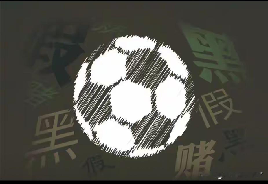 刚看到中国足协第三批处罚名单，没想到其中竟有现任陕西联合俱乐部董事长黄盛华。
事