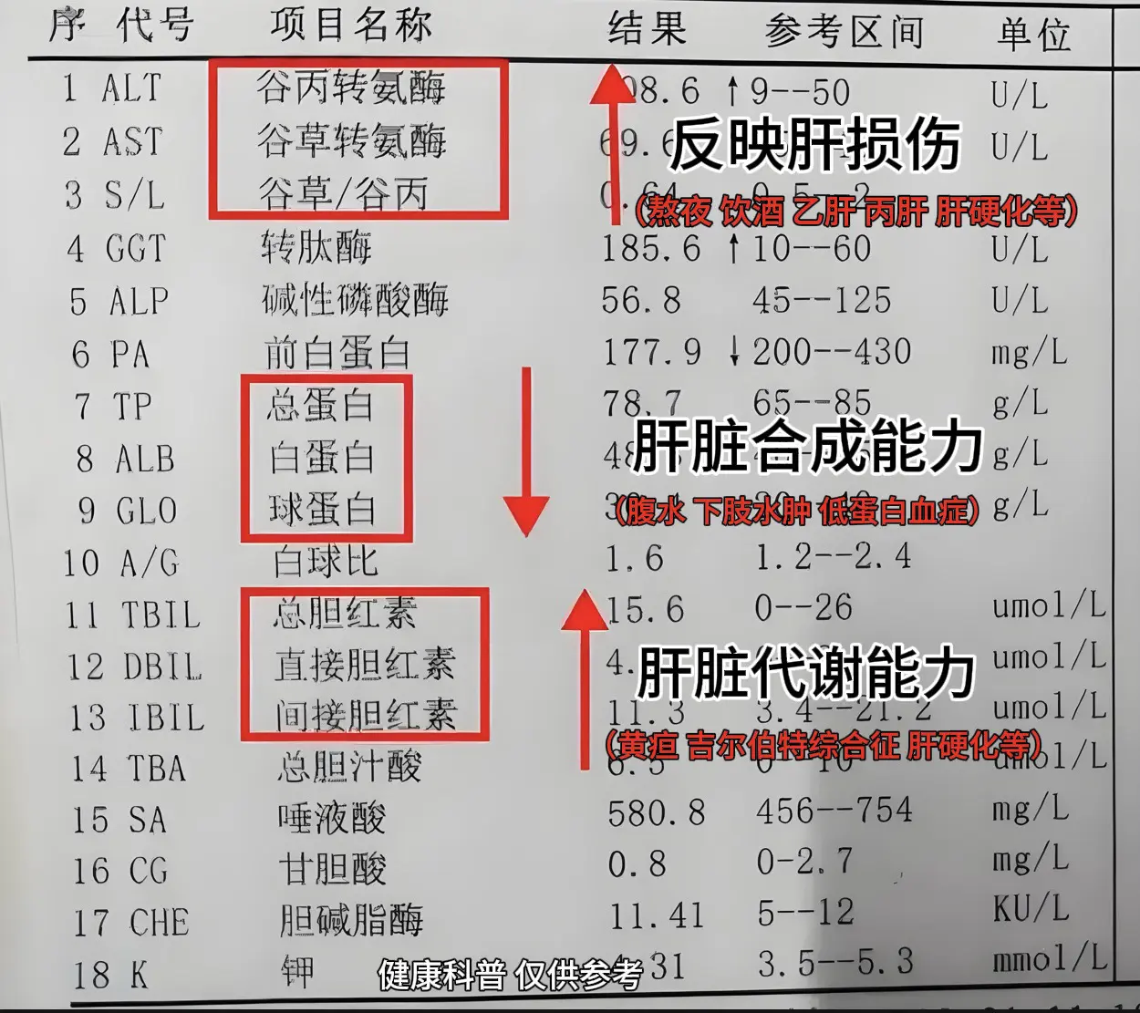 肝损伤的主要检查指标有哪些？1. 谷丙转氨酶（ALT）和谷草转氨酶（A...