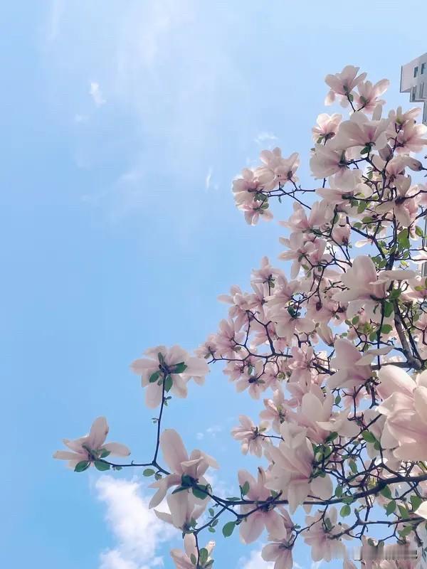 心大一点，保持好心情，凡事不较真，多换位思考，多理解别人。